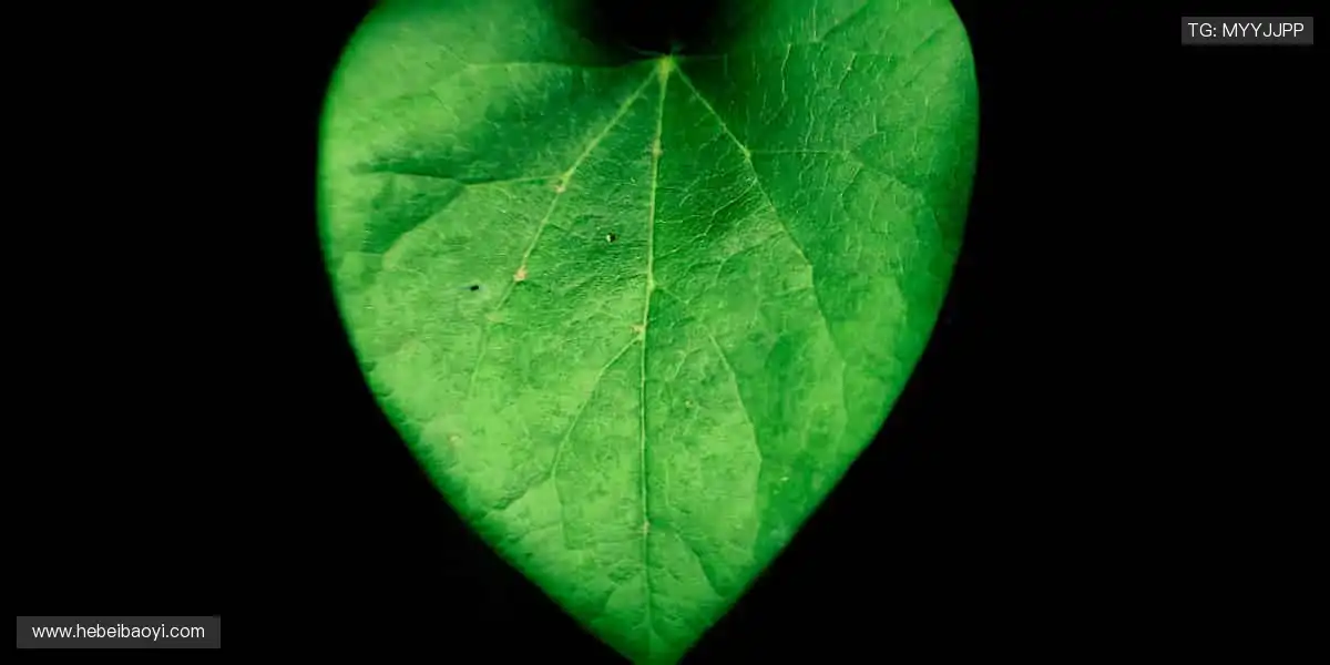 👕球迷专属，个性定制！⚽️穿上热爱，为偶像打 call！